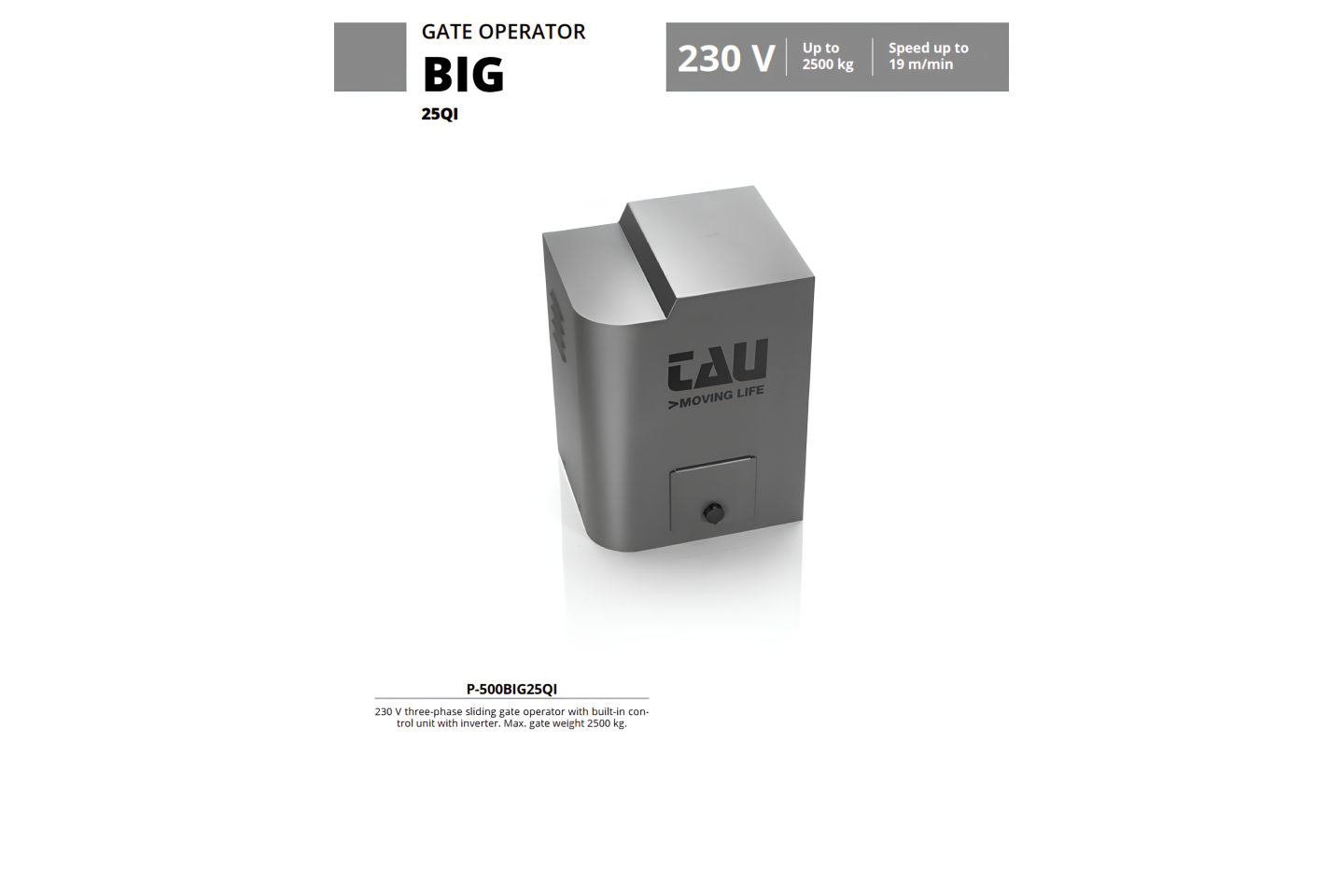 BIG_25QI_2500kg_MOTOR